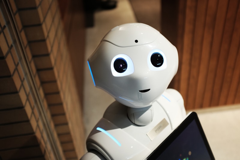 AI systems